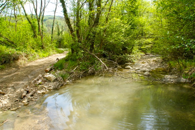 Flulauf1.jpg
