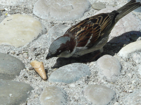 P1230038_Bildgre_ndern.jpg