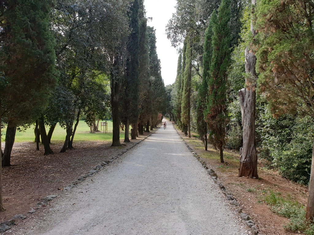 40070722uq.jpg