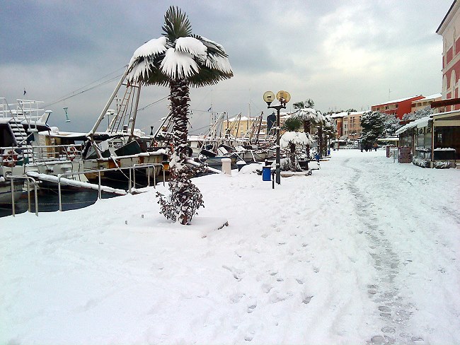 DSC00123-1.JPG