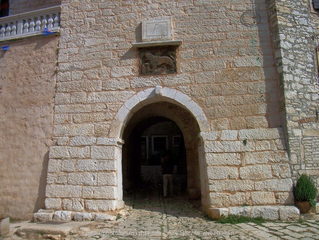 100_9517.JPG