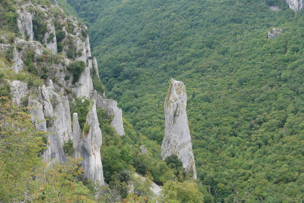 40104497eo.jpg