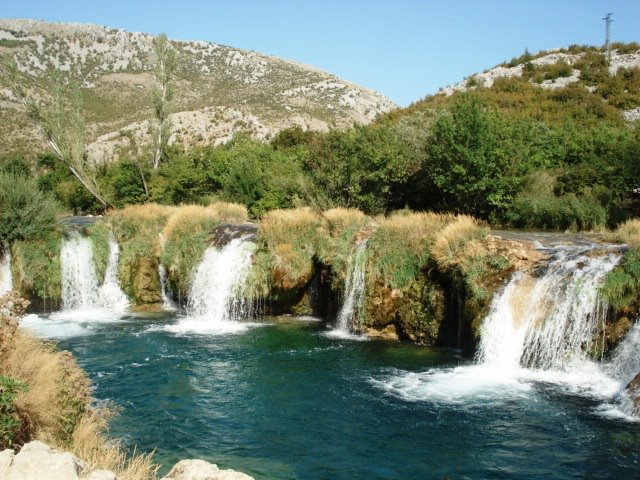 8877483mli.jpg