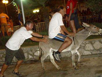 Tisno_079_640x480.jpg