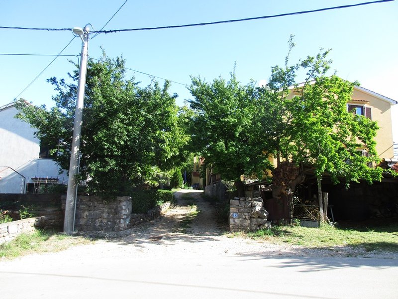 29156007co.jpg