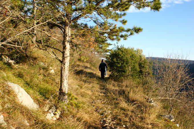 Weg31.jpg