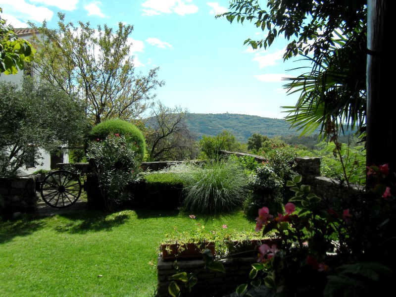 PICT0065_Andere.jpg