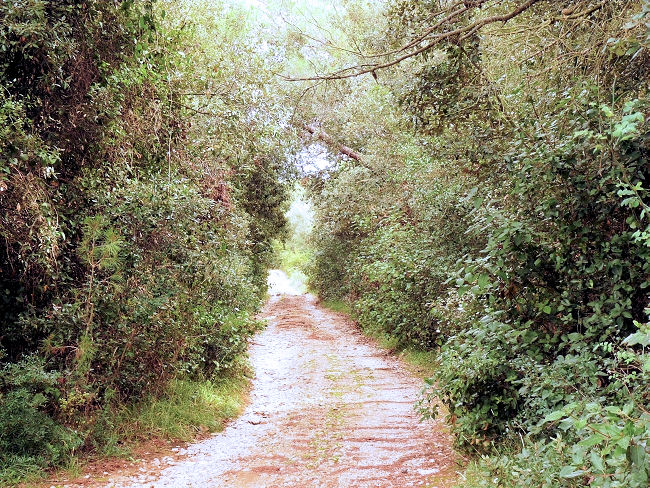 4P1230211.JPG