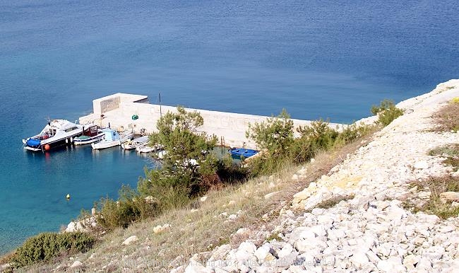 DSC00908-1.jpg
