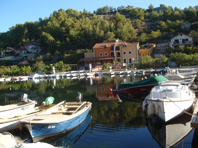 P1010211.jpg