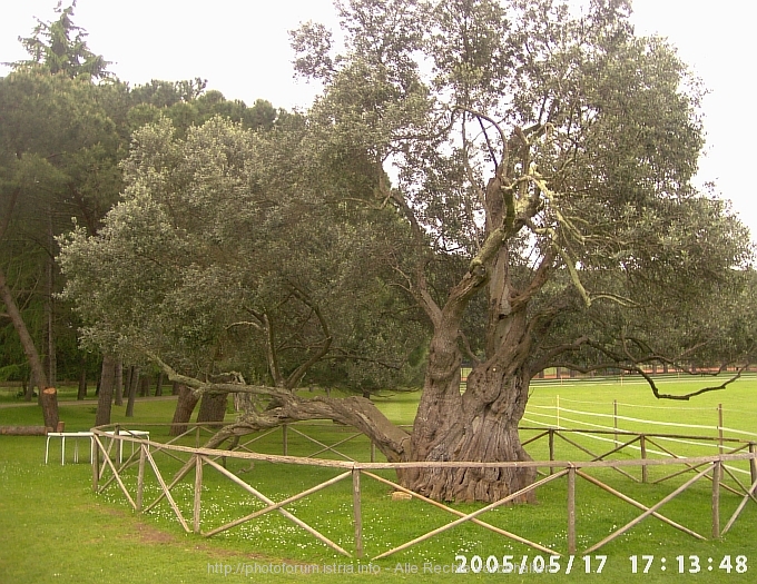 -tn-Bild_165.jpg