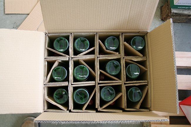EM2008_Gewinn_IMG_8046.jpg