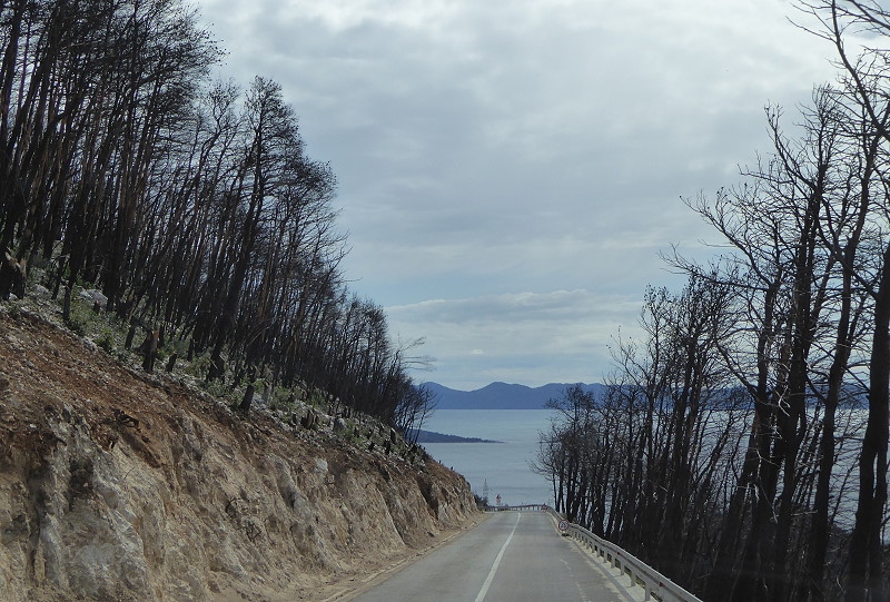 12_800_trstenik_waldbrand_041.jpg