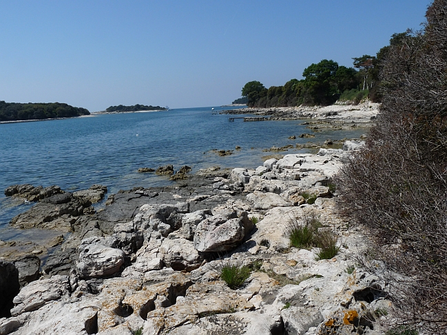 P1050309a.jpg