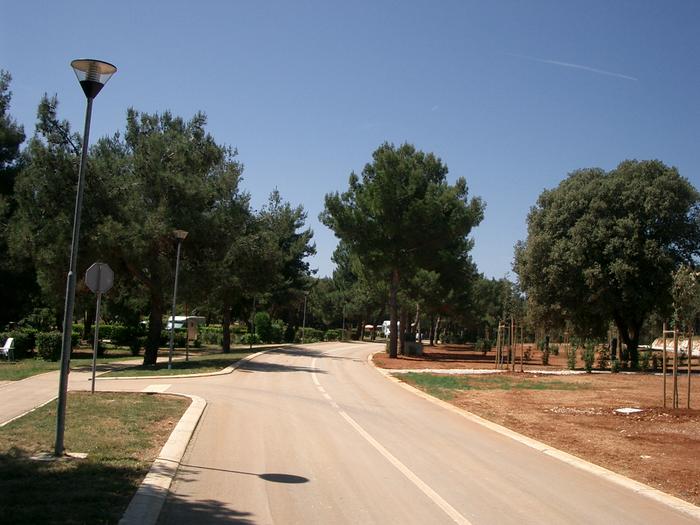 999490.jpg