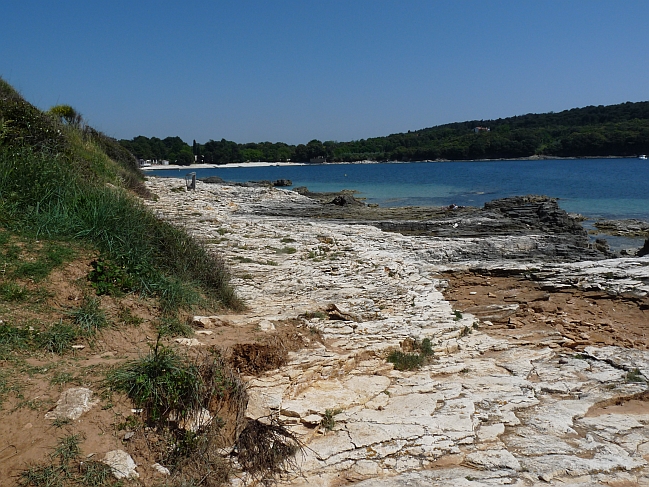 P1050293a.jpg