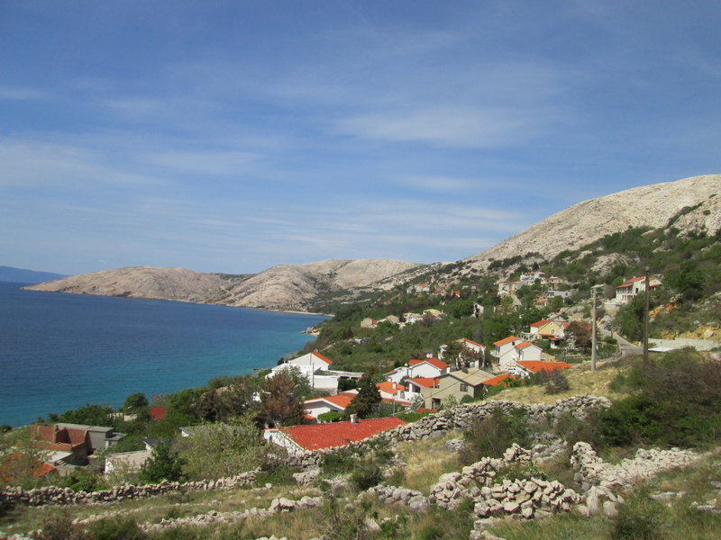 28878541rp.jpg