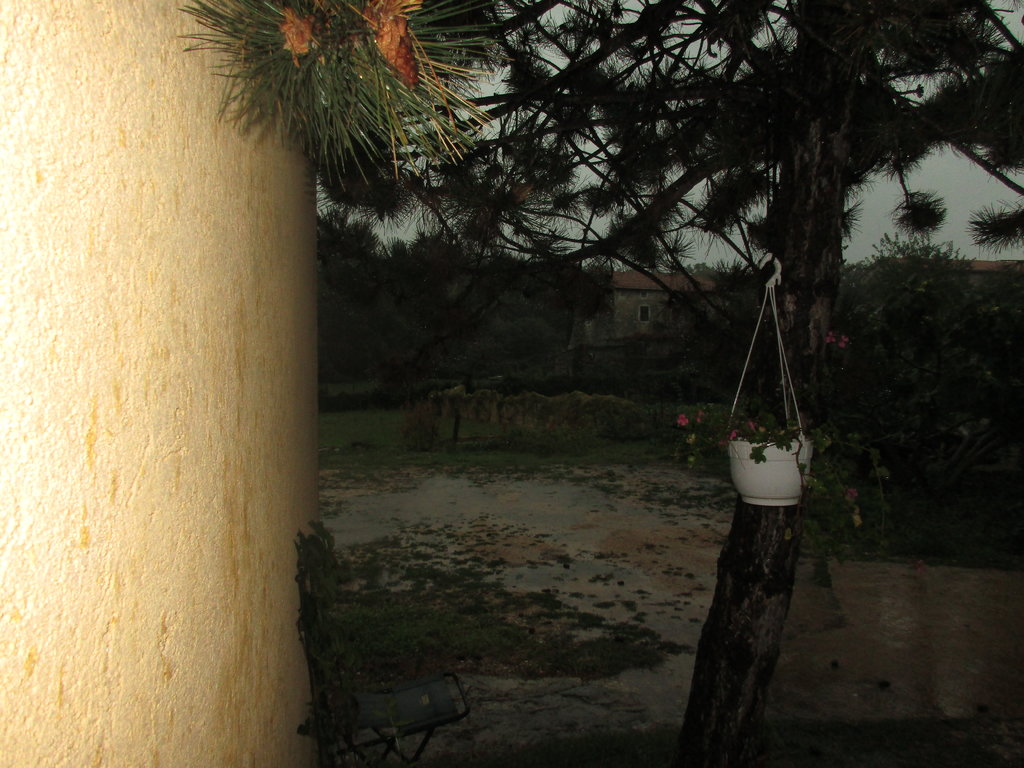 30329061sx.jpg