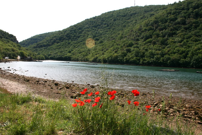 Limski_1_680.jpg