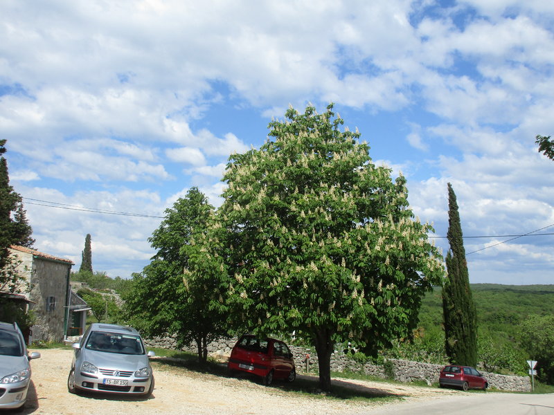 28956055lk.jpg