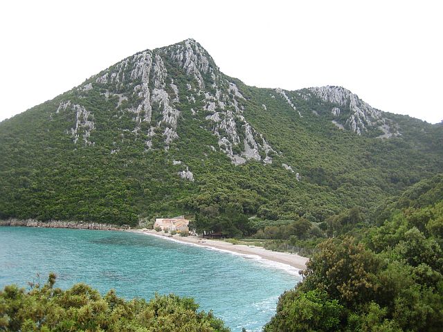 strand.jpg