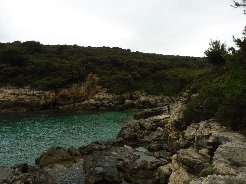 P1070364.jpg