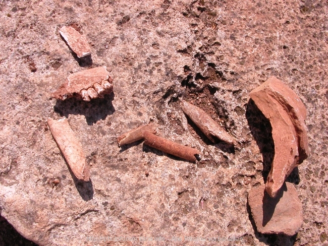 DSCN9635.jpg