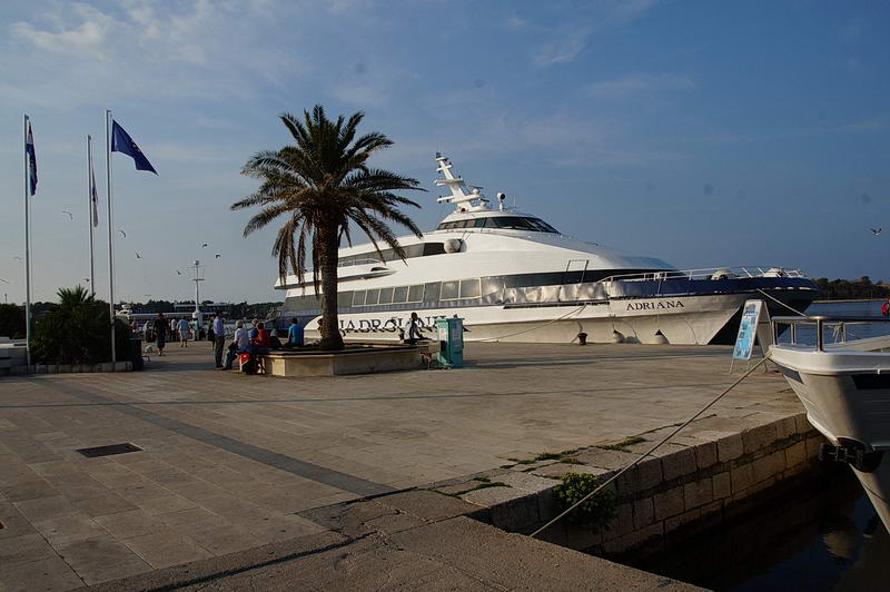 DSC05084-1.jpg