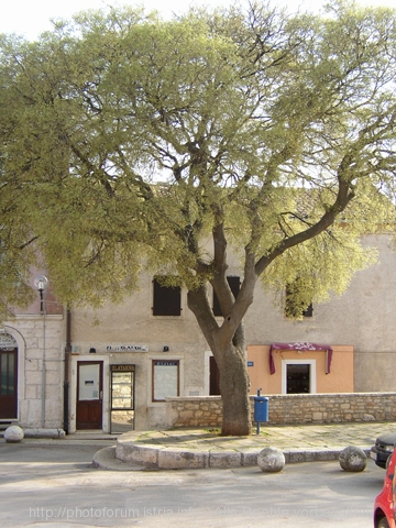 480046.jpg