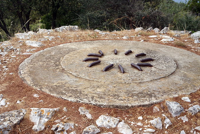 DSC07150-1.jpg