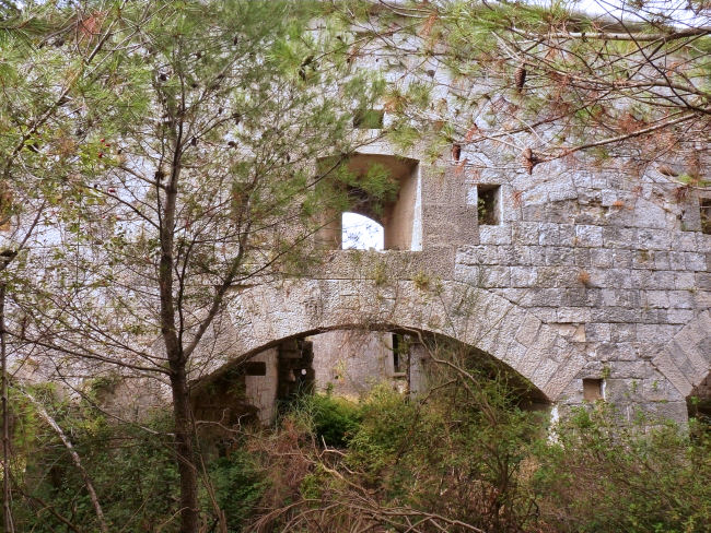 P1230224.JPG
