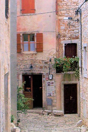 100_9589a.JPG