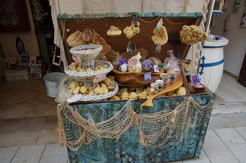 DSC05101-1.jpg