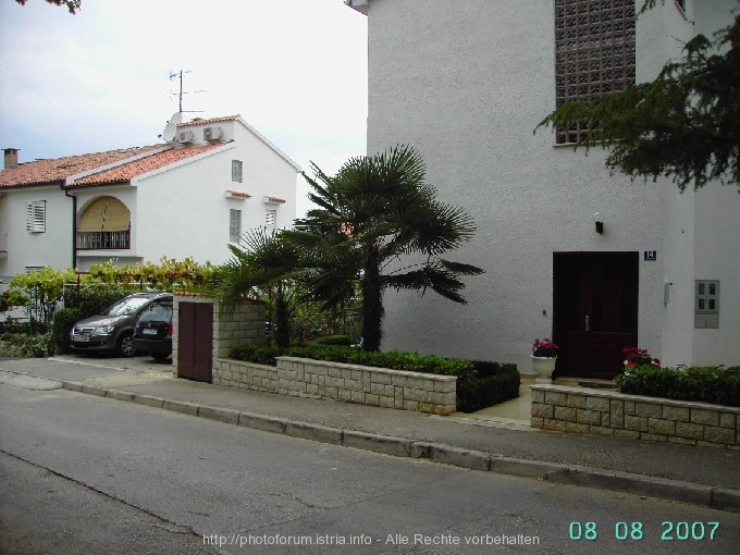 2007-07.jpg