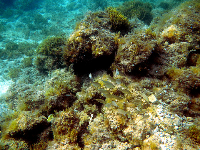 DSCN1425.JPG