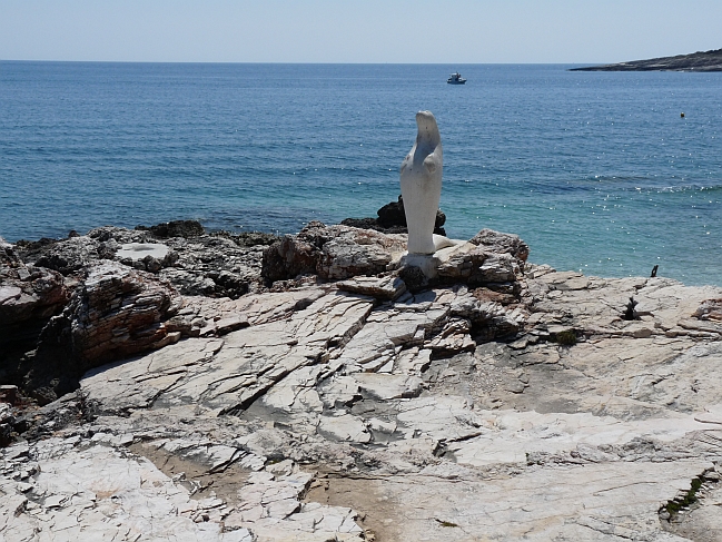 P1050279a.jpg