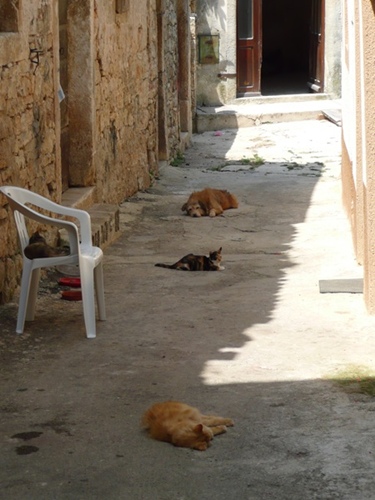 P1020213.JPG