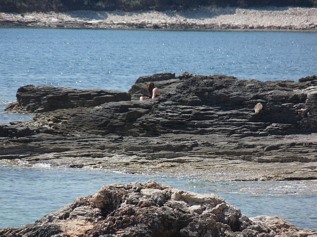 P1050281a.jpg