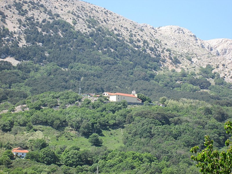29058812vv.jpg