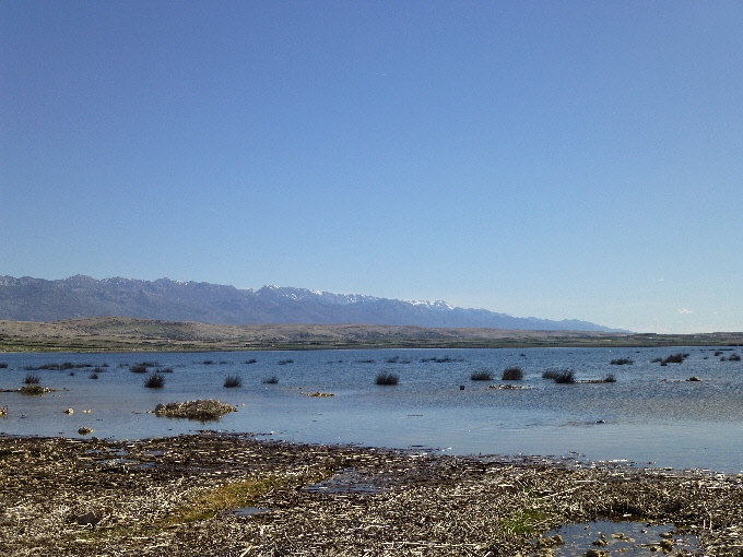 P10800941.jpg