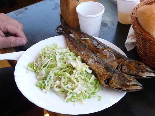P1150051.JPG