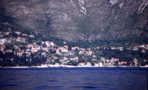 u2005-1266__MLINI.jpg