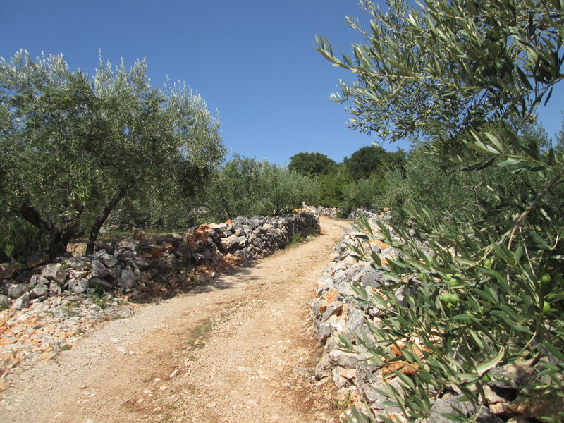 30142968qd.jpg