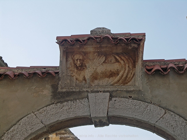 PICT8835-11.jpg