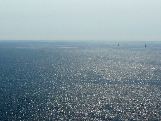 P1040944.jpg