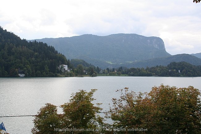 BLED_Sduferblick_vom_Nordufer_2008IMG_9206.jpg