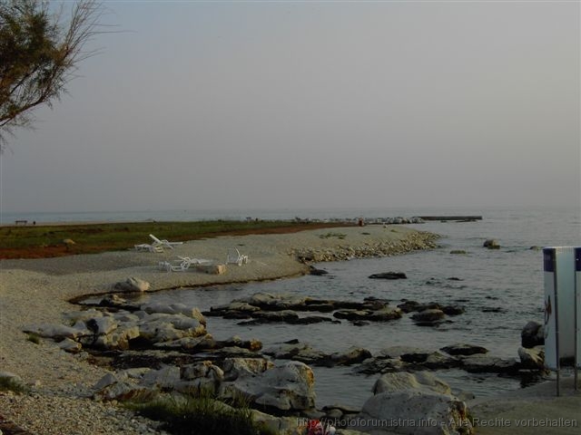 PICT0471.JPG