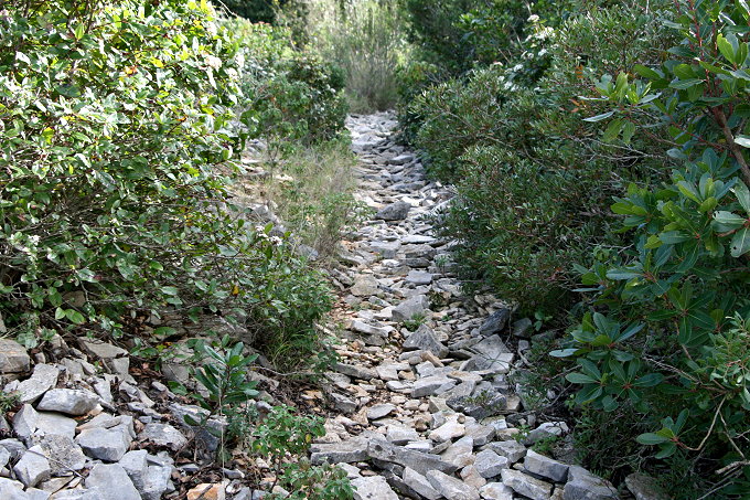 29_mindel_3.tag_tankarica_048_680.jpg