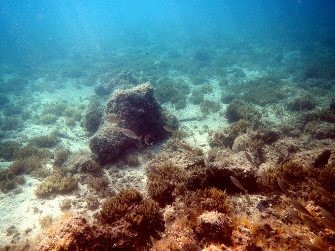 DSCN1422.JPG