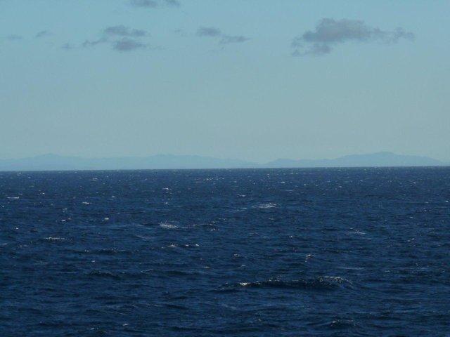 P1000561.jpg